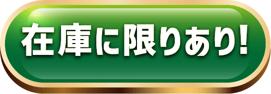 在庫に限りあり!